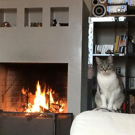 La Casina Dei Gatti Gasthuis